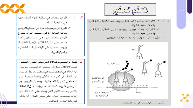 صورة الغلاف