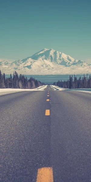 Forest, Snow, Mountains, Usa, Landscape 4K Wallpaper Background