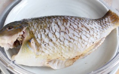 Để vài miếng gừng lên đĩa hấp để da cá không bị dính khi hấp. Đặt cá lên và đem hấp trong 15 - 20 phút tùy theo cá to hay nhỏ.