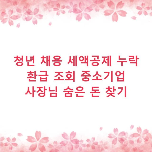 청년 채용 세액공제 누락 환급 조회 중소기업 사장님 숨은 돈 찾기