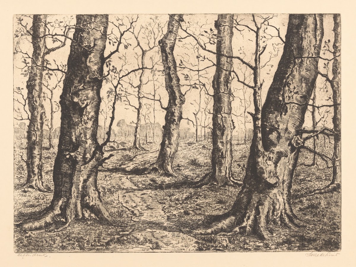Bosrand met kale bomen 20th century