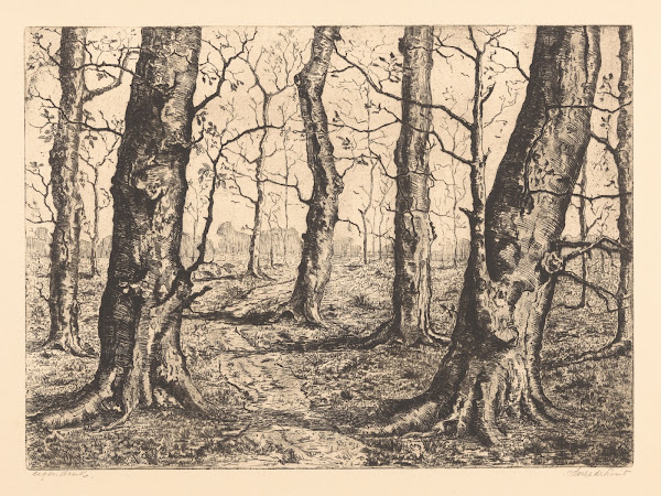 Bosrand met kale bomen 20th century
