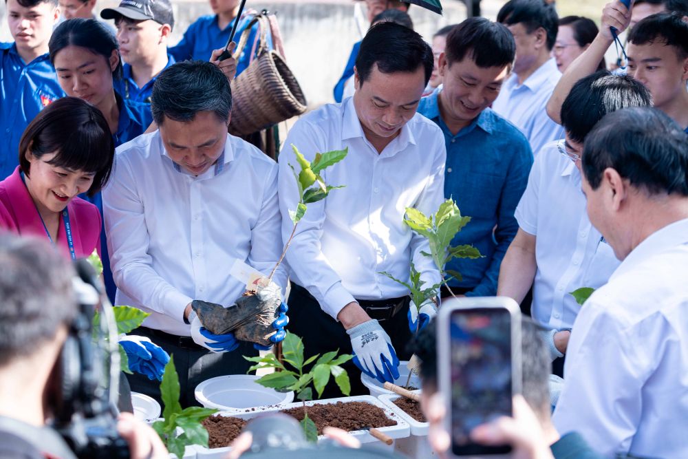 Chương trình “Hương sắc cà phê Arabica Sơn La”: Tăng cường kết nối giữa Nhà trường, Địa phương và Doanh nghiệp