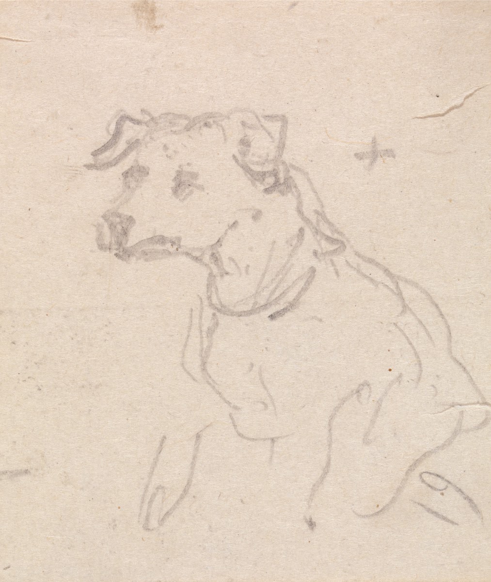 A Dog