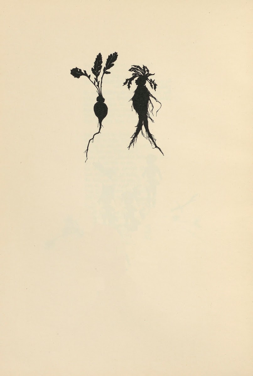 Von Steh Männchen und Gründlingen Pl10 1926