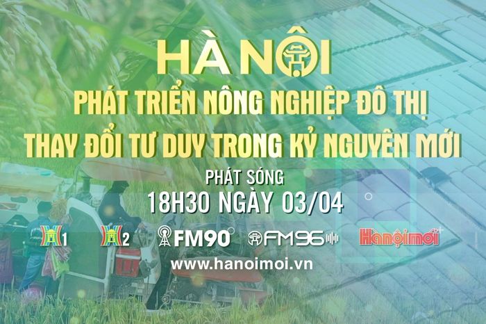Phát triển nông nghiệp đô thị - Thay đổi tư duy trong kỷ nguyên mới - Đài Phát thanh và truyền hình Hà Nội