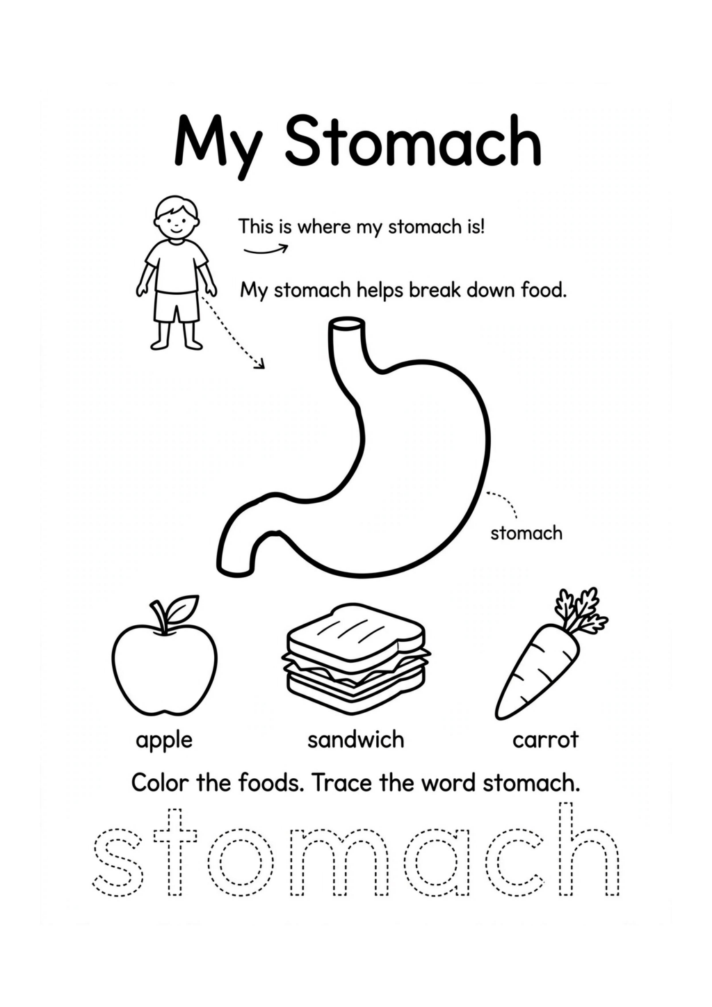 My Stomach