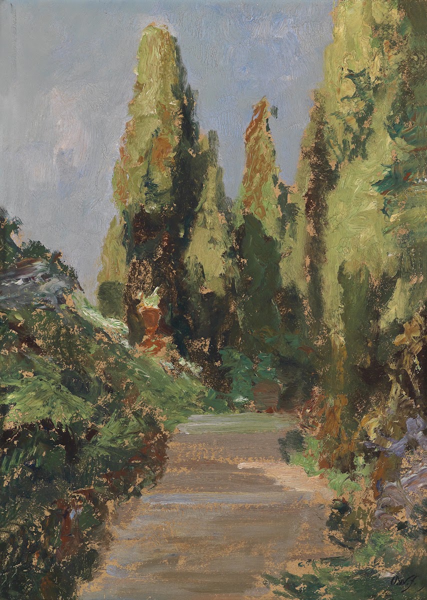 Parklandschaft