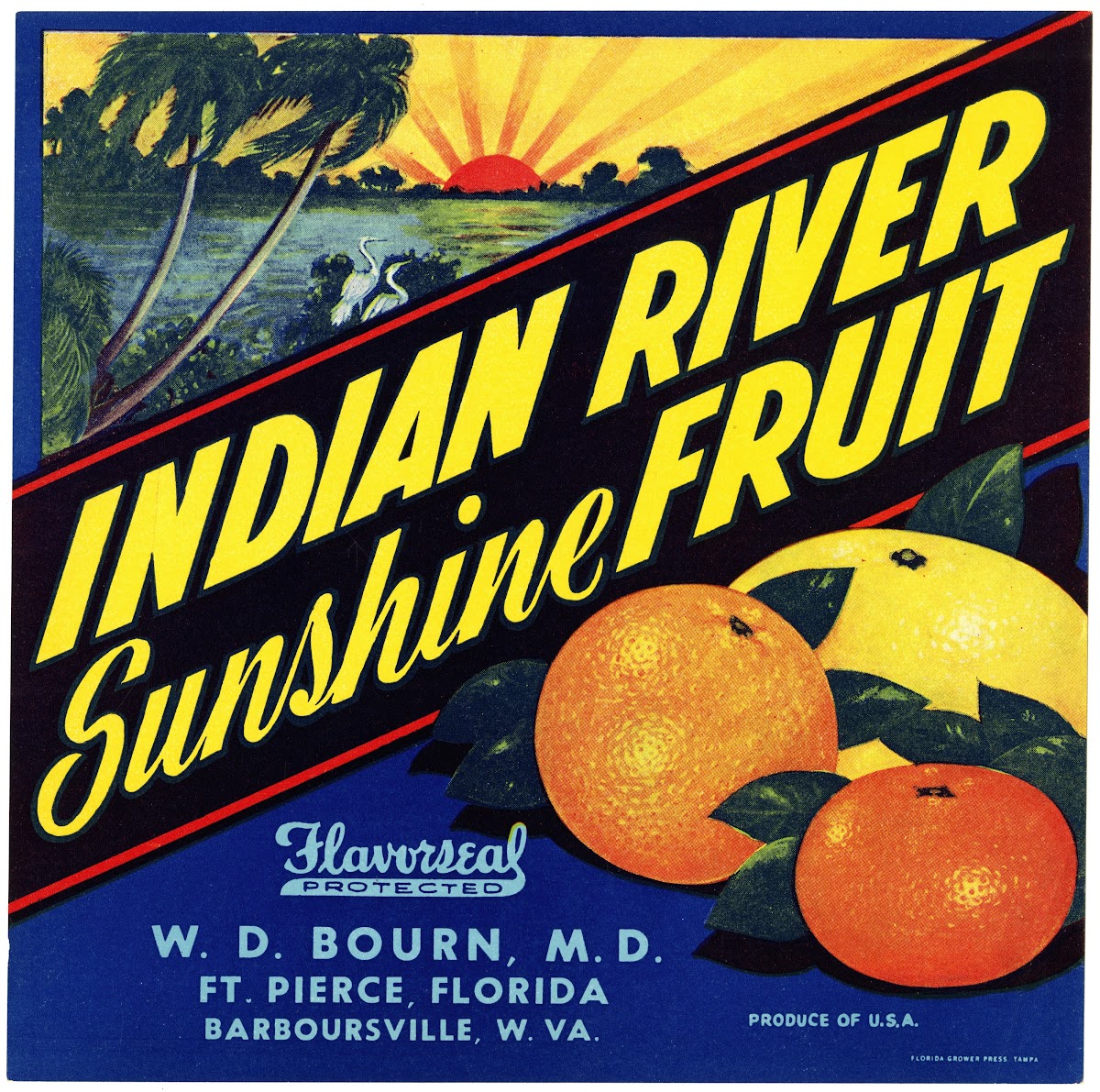 Indian River Sunshine Fruit Citrus Label 1930s