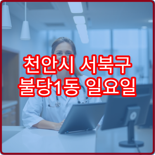 천안시 서북구 불당1동 일요일 이비인후과 진료 병원 편도염 검사