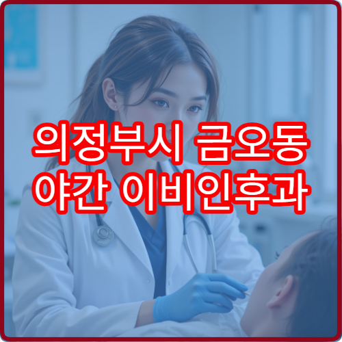 의정부시 금오동 야간 이비인후과 비염 코막힘 진료 병원 정리