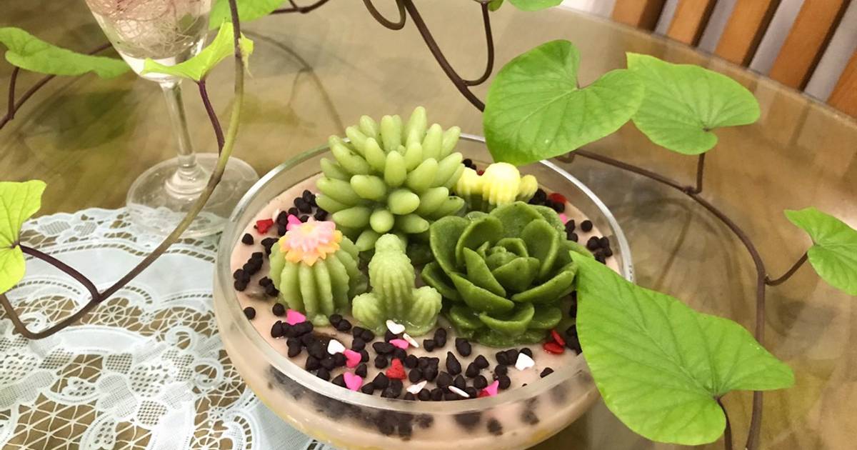 Chậu sen đá ăn được ^^