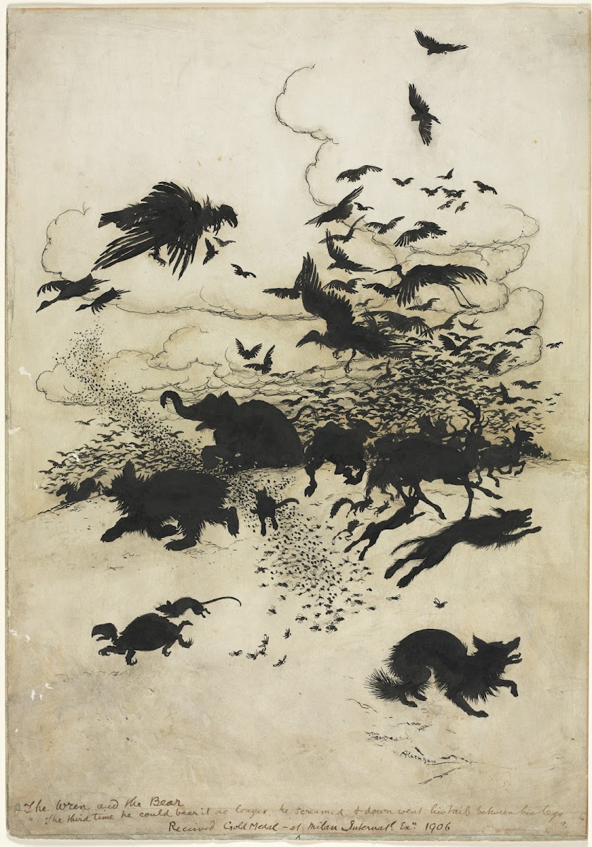 The Wren and the Bear 1902