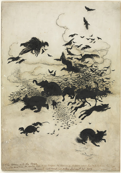 The Wren and the Bear 1902