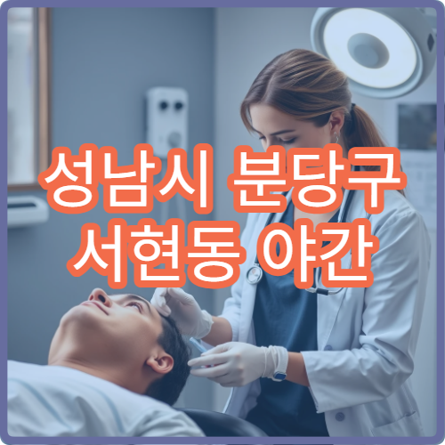 성남시 분당구 서현동 야간 정형외과 진료 가능한 병원 근골격계 치료 안내