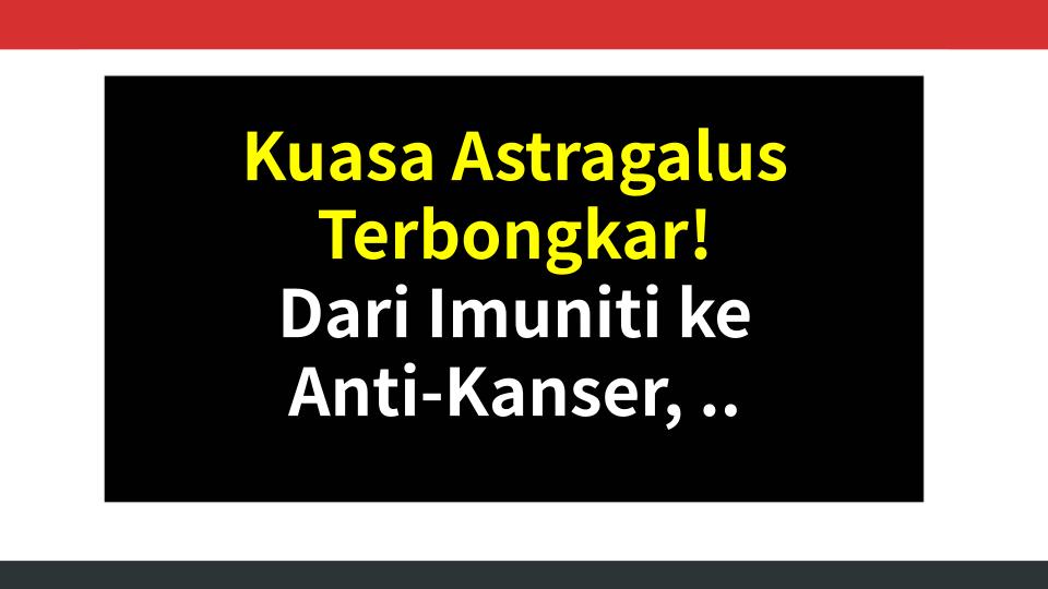 Kuasa Astragalus Terbongkar! Dari Imuniti ke Anti-Kanser, Dapat 200% Lebih Faedah Kalau Tahu Caranya