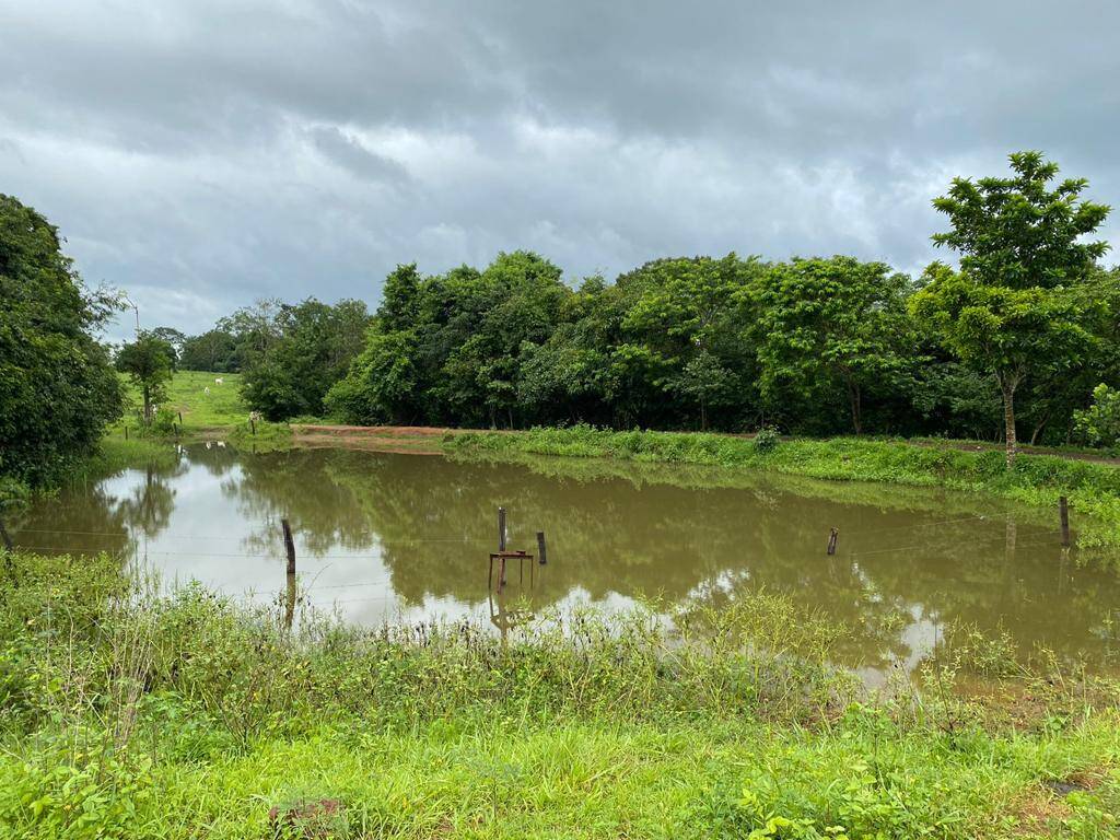 Fazenda em São Francisco de Goiás - GO 5