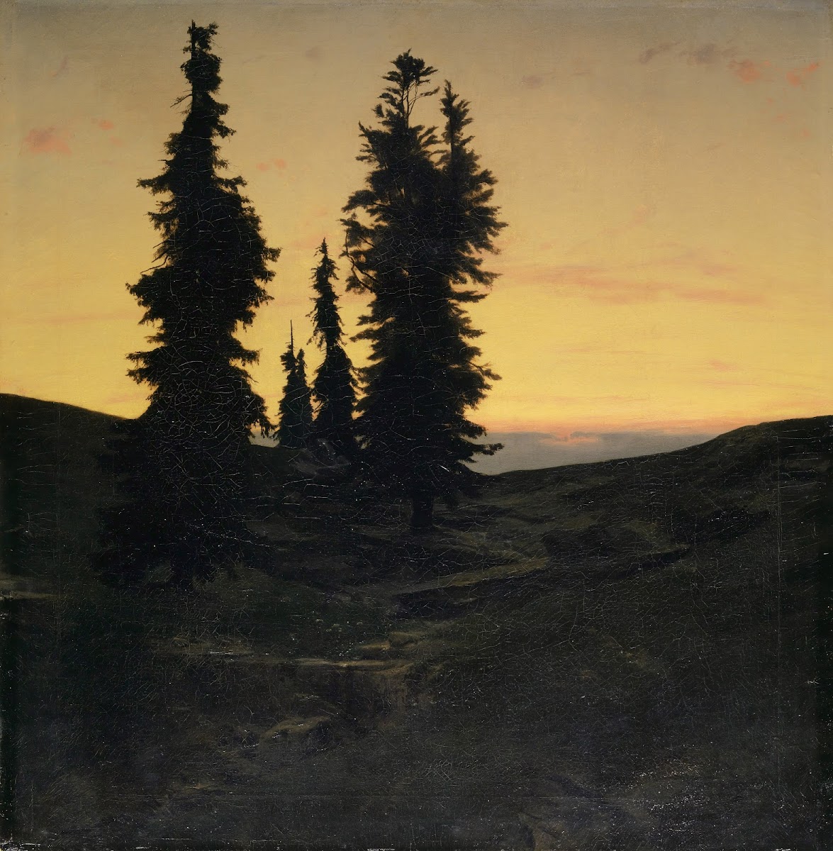 Fir Trees 1849