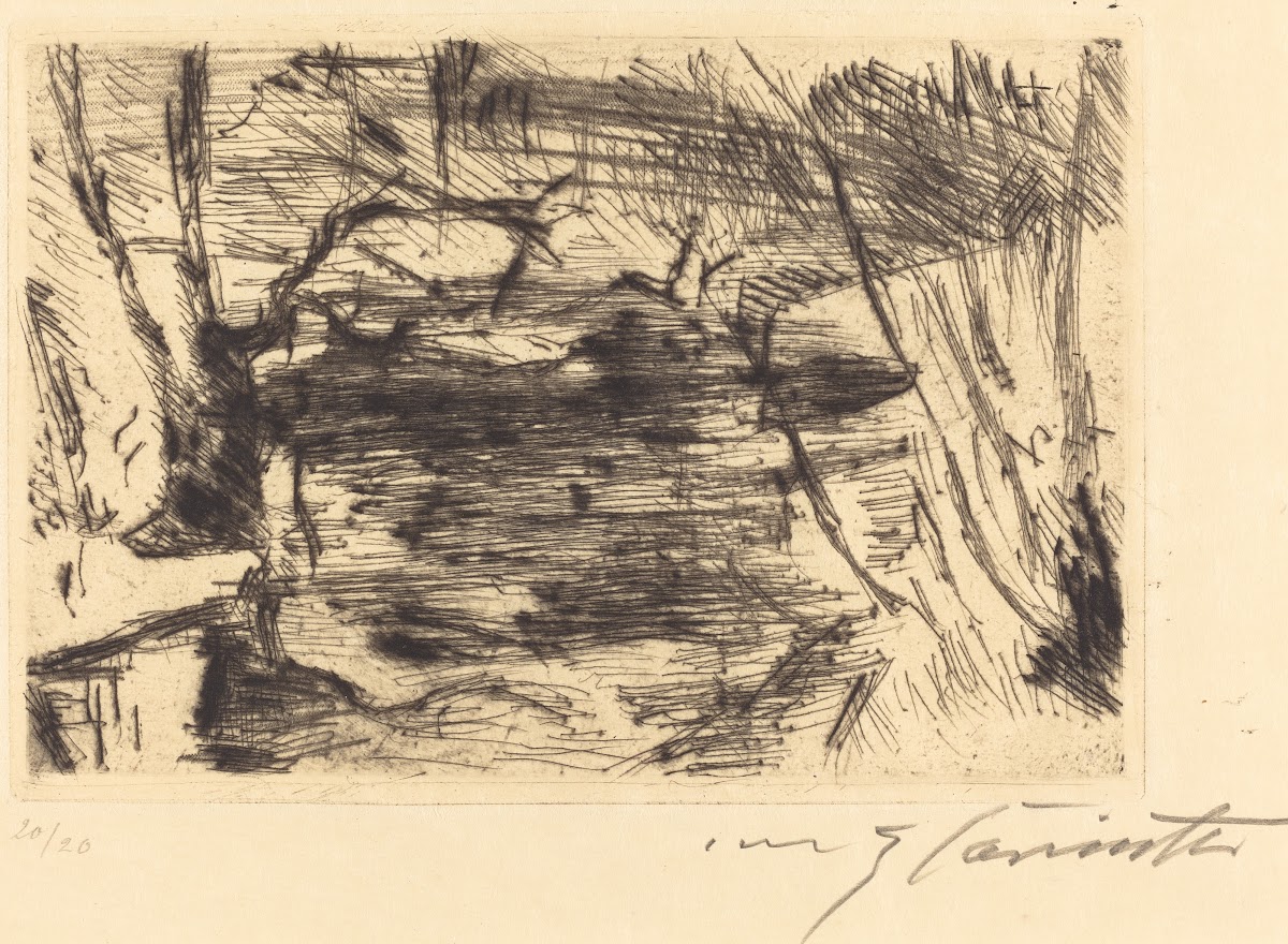 The New Lake Der Neue See 1920