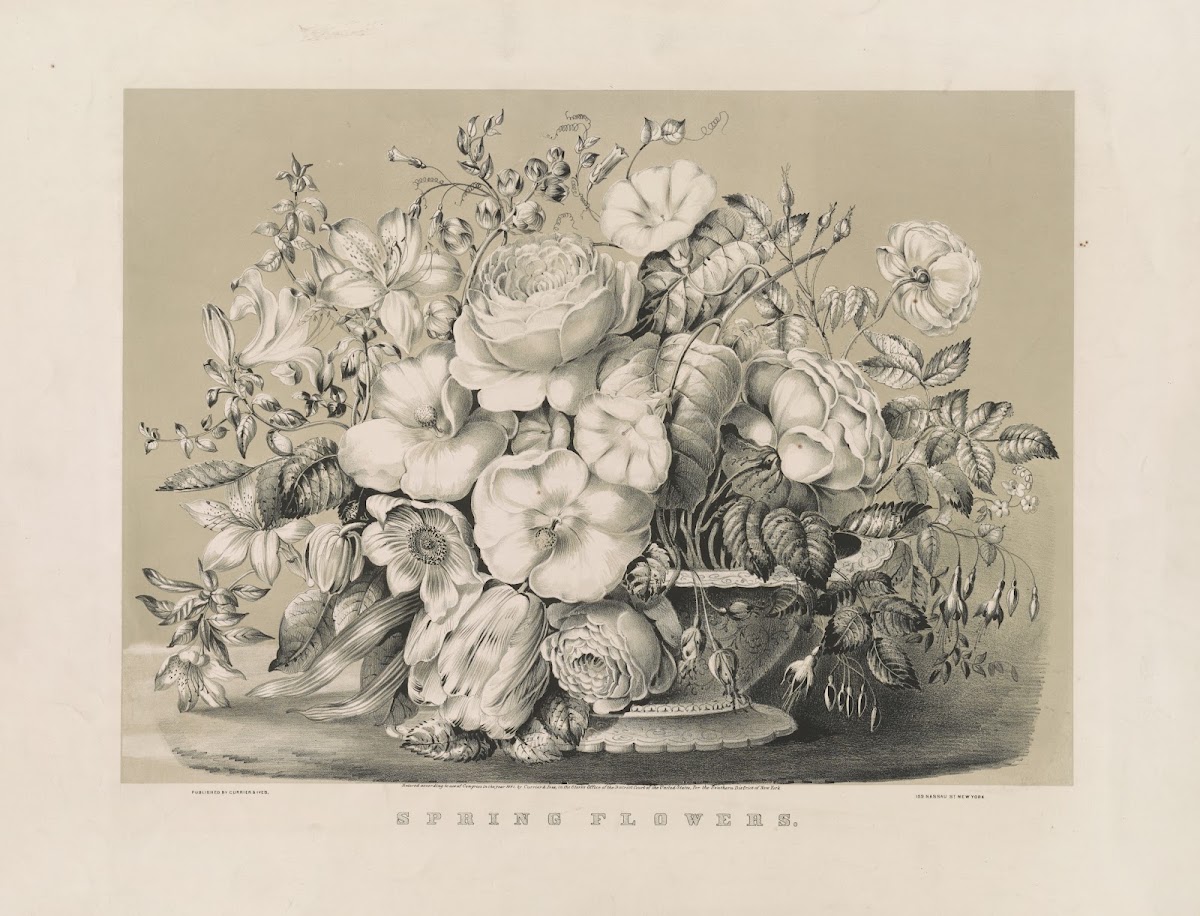 Spring flowers 1861