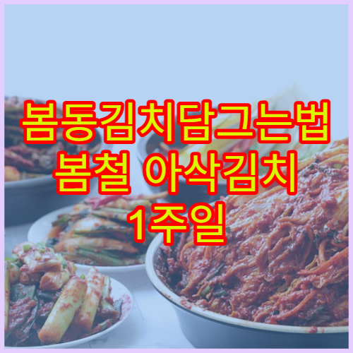 봄동김치담그는법 봄철 아삭김치 1주일 숙성 레시피
