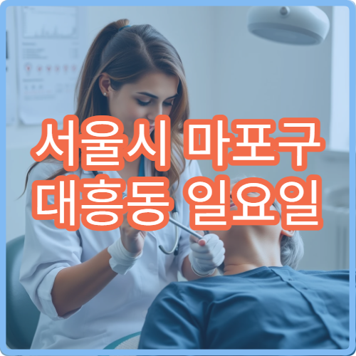 서울시 마포구 대흥동 일요일 신경과 편두통 시야흐림 진료