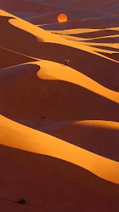 Abstract Flowing Liquid Gold Texture