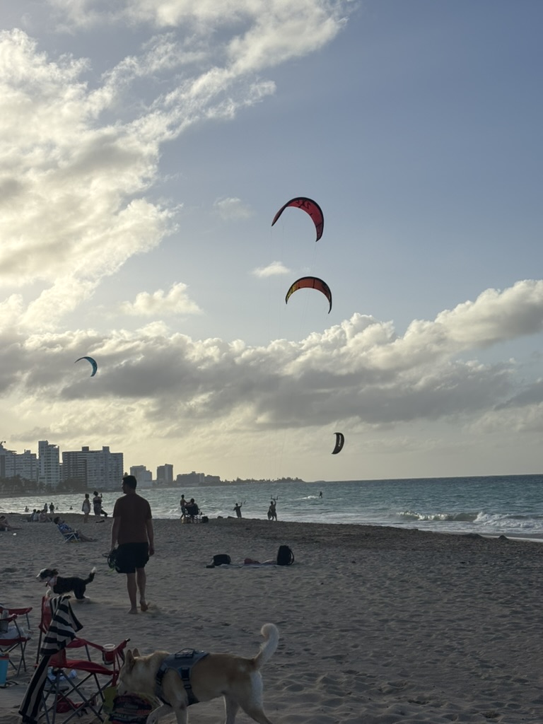 Kiteboarders on the water near Piñones