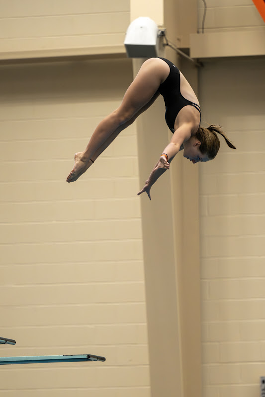 Photo from C: New River Diving of Lea Brown
