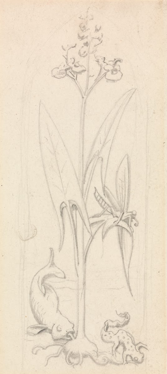Stained Glass Study Water Plant with Grasshoper Fish and Newt