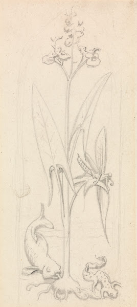 Stained Glass Study Water Plant with Grasshoper Fish and Newt