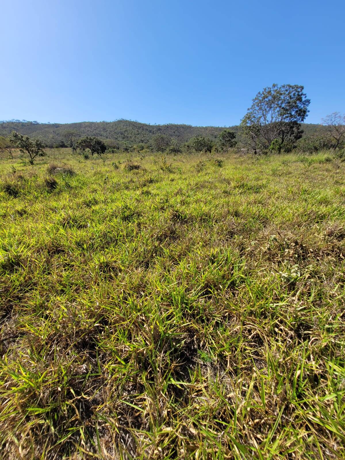 Fazenda em Santa Cruz de Goiás - GO 8