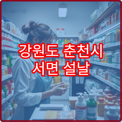 강원도 춘천시 서면 설날 연휴 당번약국 문 여는 약국 위치 정리