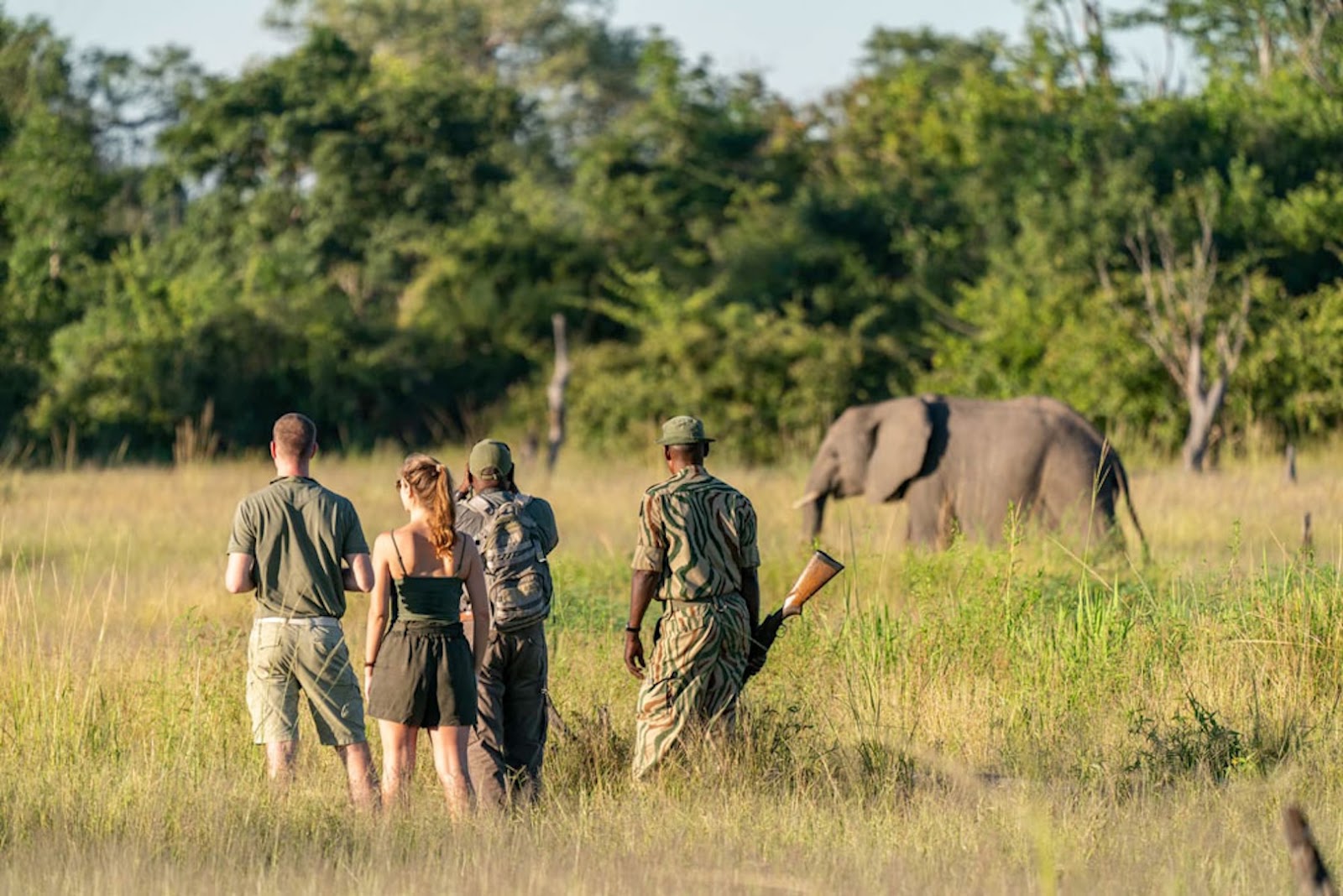 Travelers exploring the African bush on foot with a professional guide during a walking safari in Zambia.