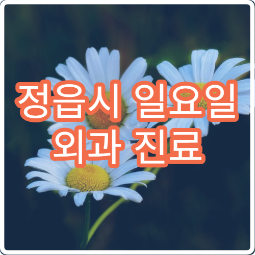 정읍시 일요일 외과 진료 병원 – 상처, 염증, 항문질환 응급 수술 진료 안내