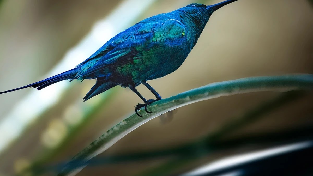 개인사업자 부가세 간이과세 조건과 절세 전략