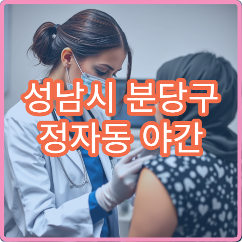 성남시 분당구 정자동 야간 산부인과 진료 가능한 병원 여성 건강 진료 안내