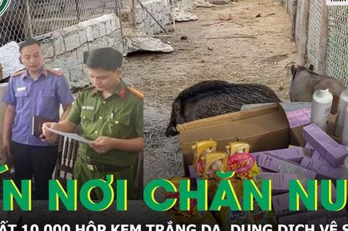Biến trang trại chăn nuôi thành nơi sản xuất 10.000 hộp mỹ phẩm, dung dịch vệ sinh - Báo Sức Khỏe &amp; Đời Sống