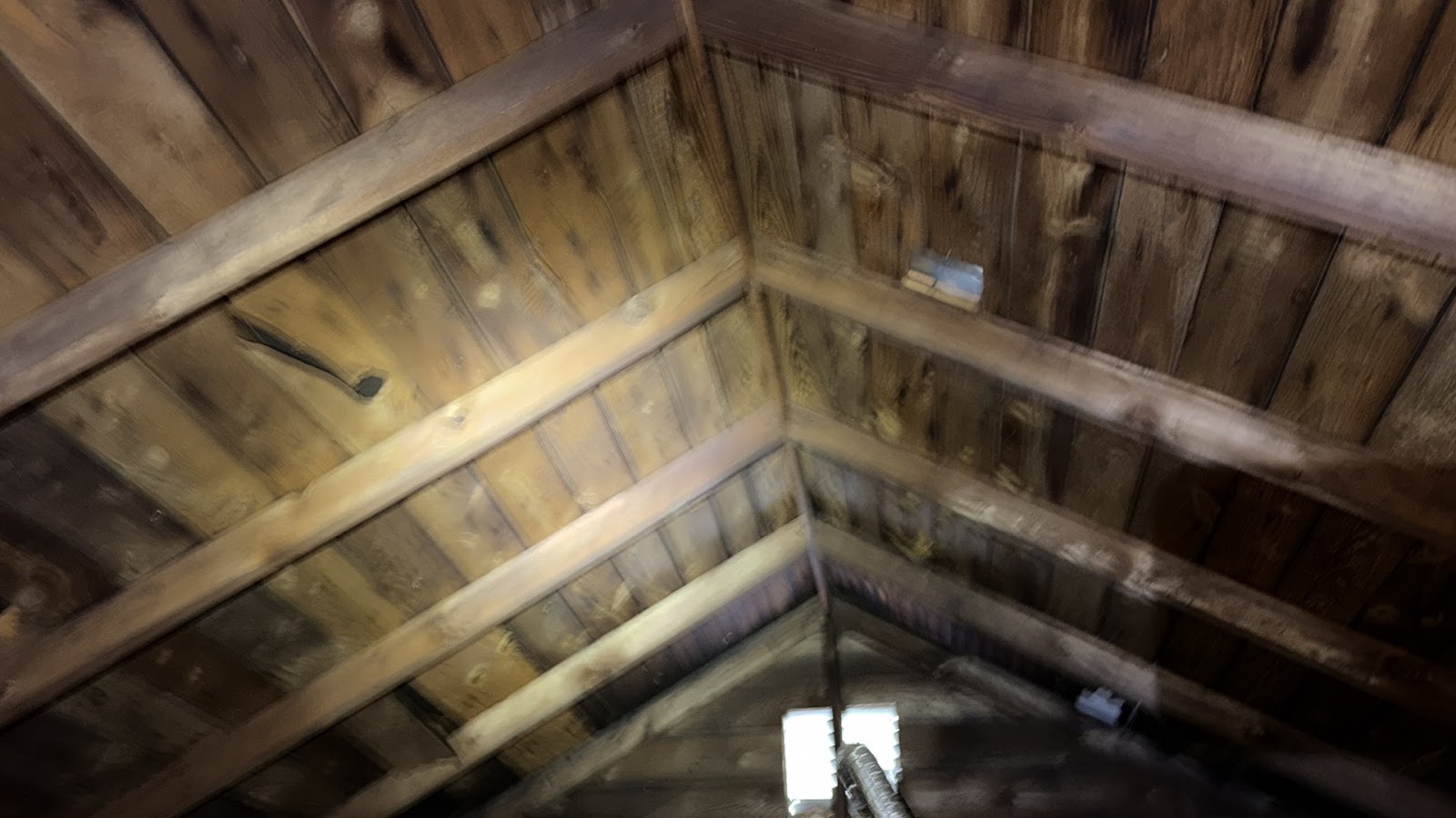 Copy of IMG_2026-03-13_14-13-15_230.jpg