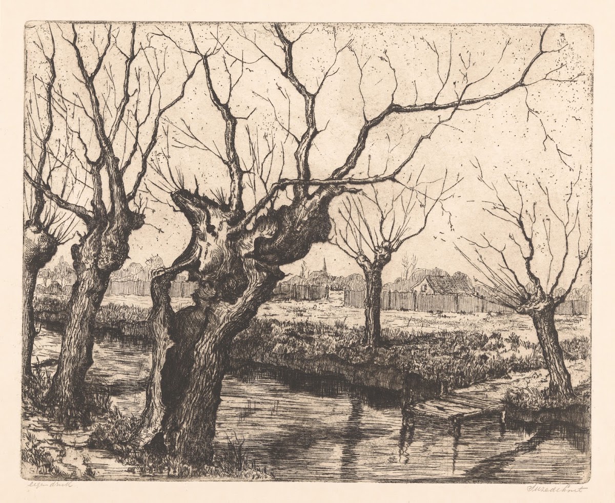Knotwilgen bij sloot 20th century