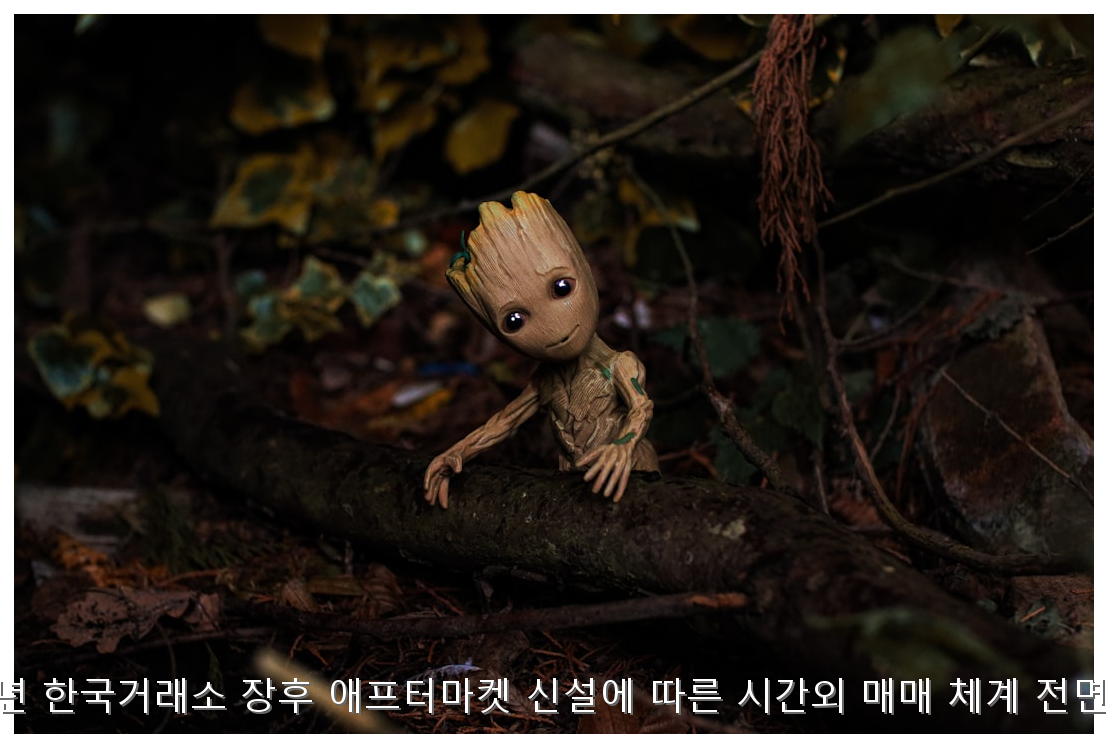 2026년 한국거래소 장후 애프터마켓 신설에 따른 시간외 매매 체계 전면 분석 핵심 안내 및 분석 인포그래픽 (5)