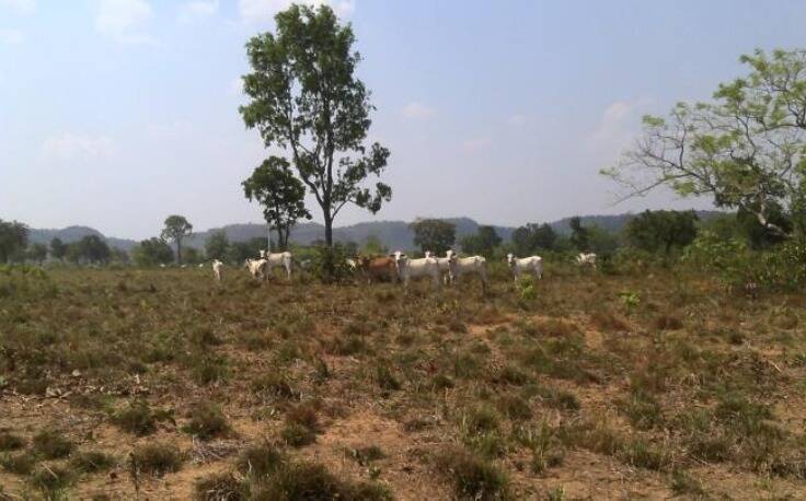 Fazenda em Barra do Ouro-TO 2