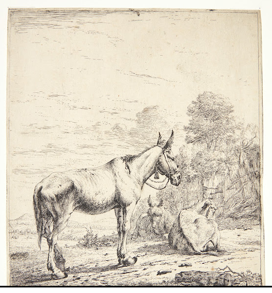 Et mulæsel med en klokke om halsen 1653