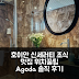 호이안 신세러티 호텔 앤 스파 후기: 조식👍 위치 꿀팁
