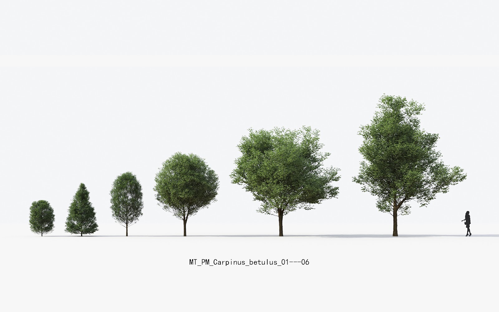 Maxtree - Plant Models Vol.13
