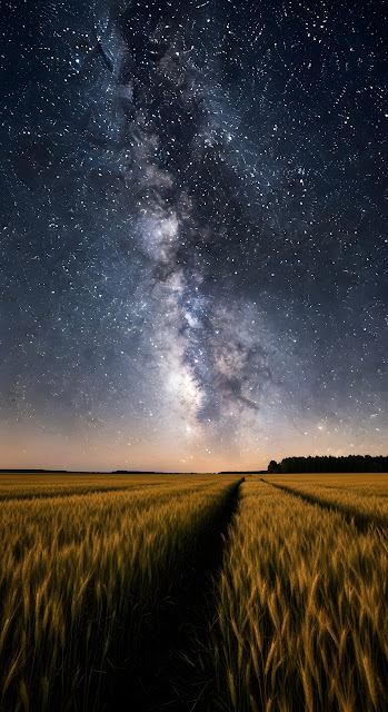 Starry Night Milky Way Over Golden Harvest Field - Free mobile Wallpaper