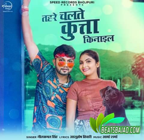 Tahre Chalte Kutta Kinail