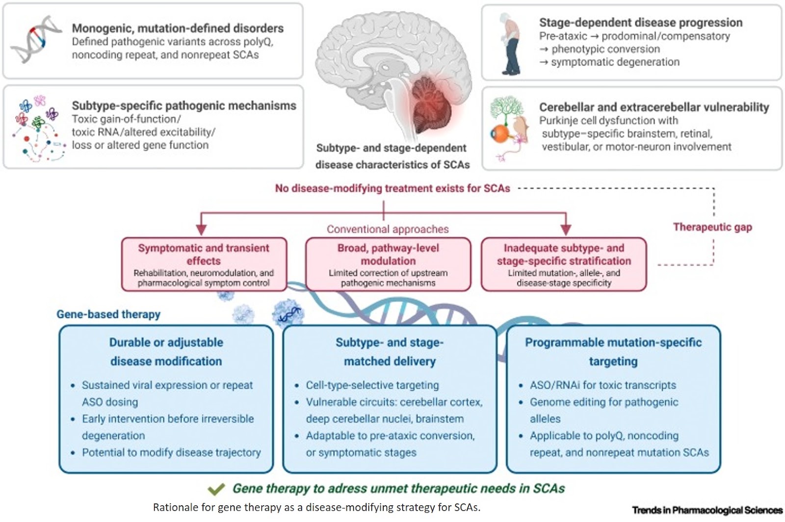 Gene therapy for spinocerebellar ataxias