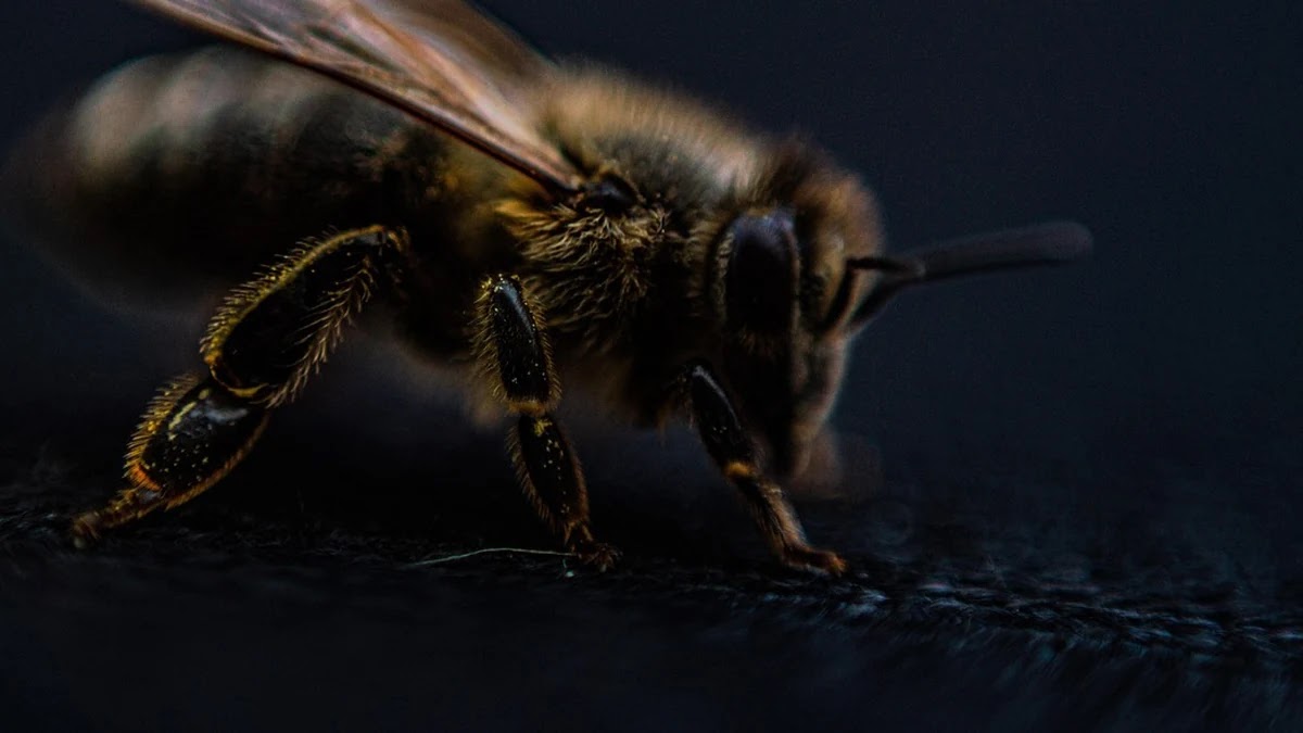 집중력 기준 설정과 유지하는 구체적 방법