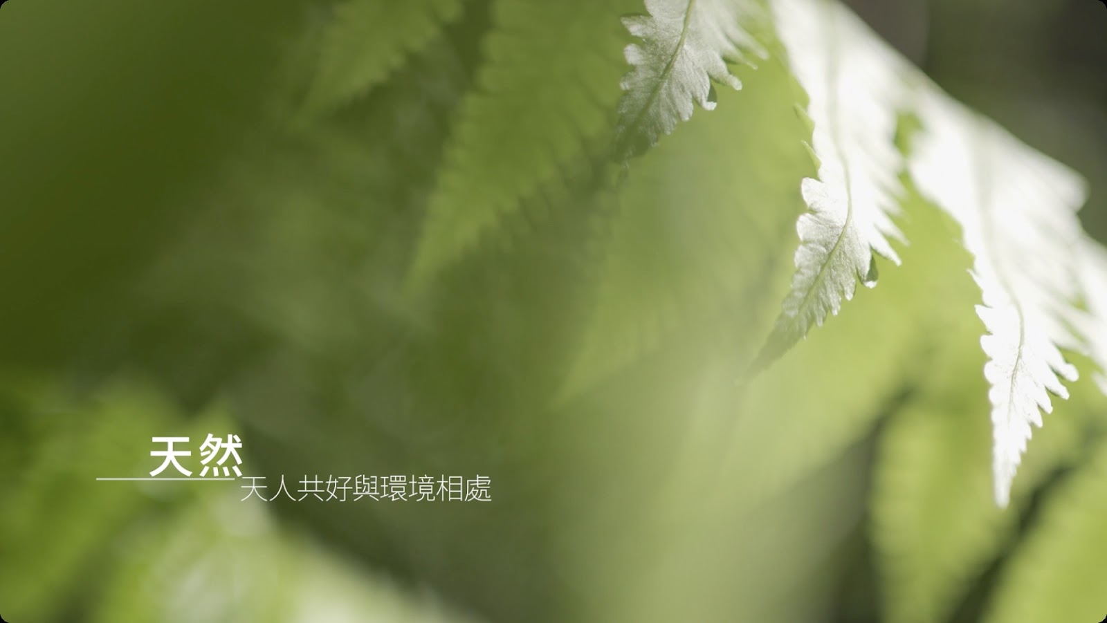 莊園形象片 screenshot 13
